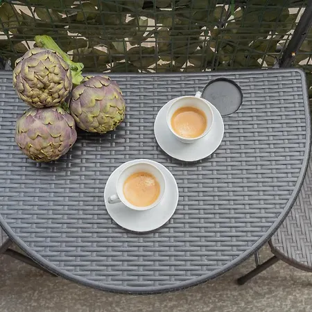 Wine Not In Centre By Rent *